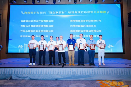 政企村協同共建，海南專項行動引領鄉村振興新篇章——陵水現場會圓滿召開